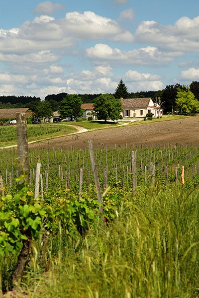 Domaine du Château La Rayre